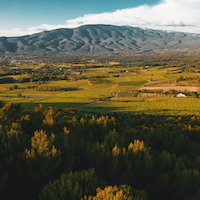 AOC Ventoux : l’appellation viticole engagée en faveur des bouteilles consignées en Région Sud