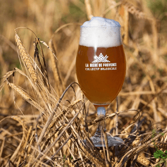 Bière de Provence : la filière brassicole de la Région Sud adepte du réemploi